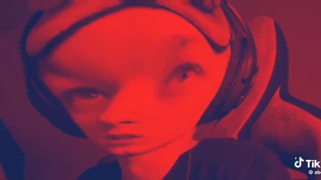 кот не кричи