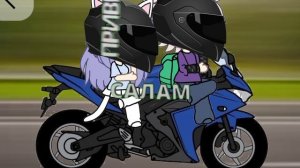 Кошка Лана и Йоши