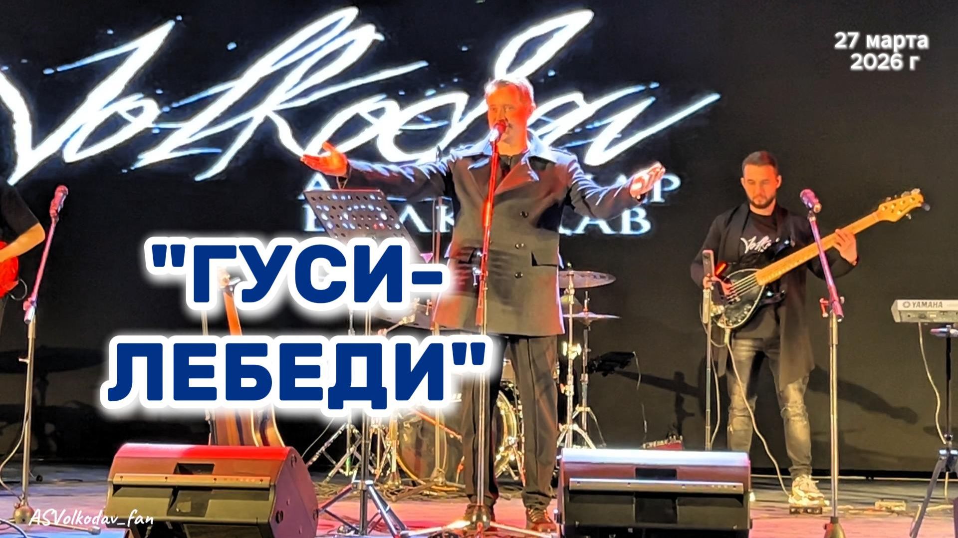 "...Над Россией гуси-лебеди летят..." (ГУСИ-ЛЕБЕДИ)💖🙏 Александр Волкодав #премьера  #volkodav