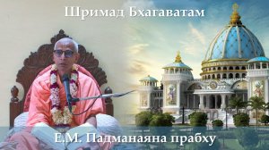 03.04.2026 || Шримад Бхагаватам 11.7.14 || Е.М. Падманаяна прабху