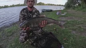 Ловля трофейного толстолоба. Эта снасть ловит всегда. Рыбалка с ночевкой