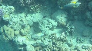 ЕГИПЕТ 26  часть 2