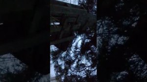 опять стрим