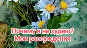 Почему я не худею. Мои рассуждения на эту тему.