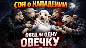 СОН О НАПАДЕНИИ ОВЕЦ НА ОДНУ ОВЕЧКУ. Сон и толкование.  Наталья, Оксана