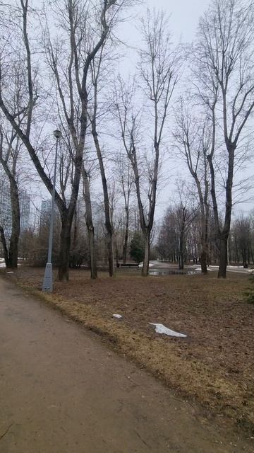 Дубрава Воронцовского парка в Москве