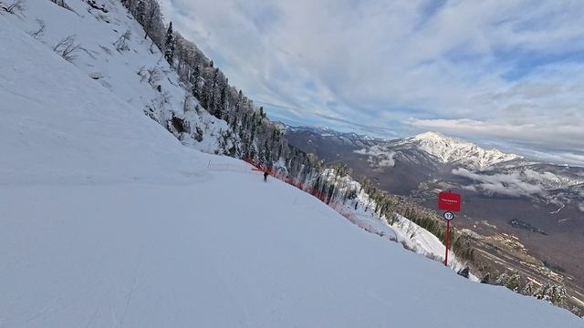 2026-02-25 Сочи. Панорама - Реликтовый лес