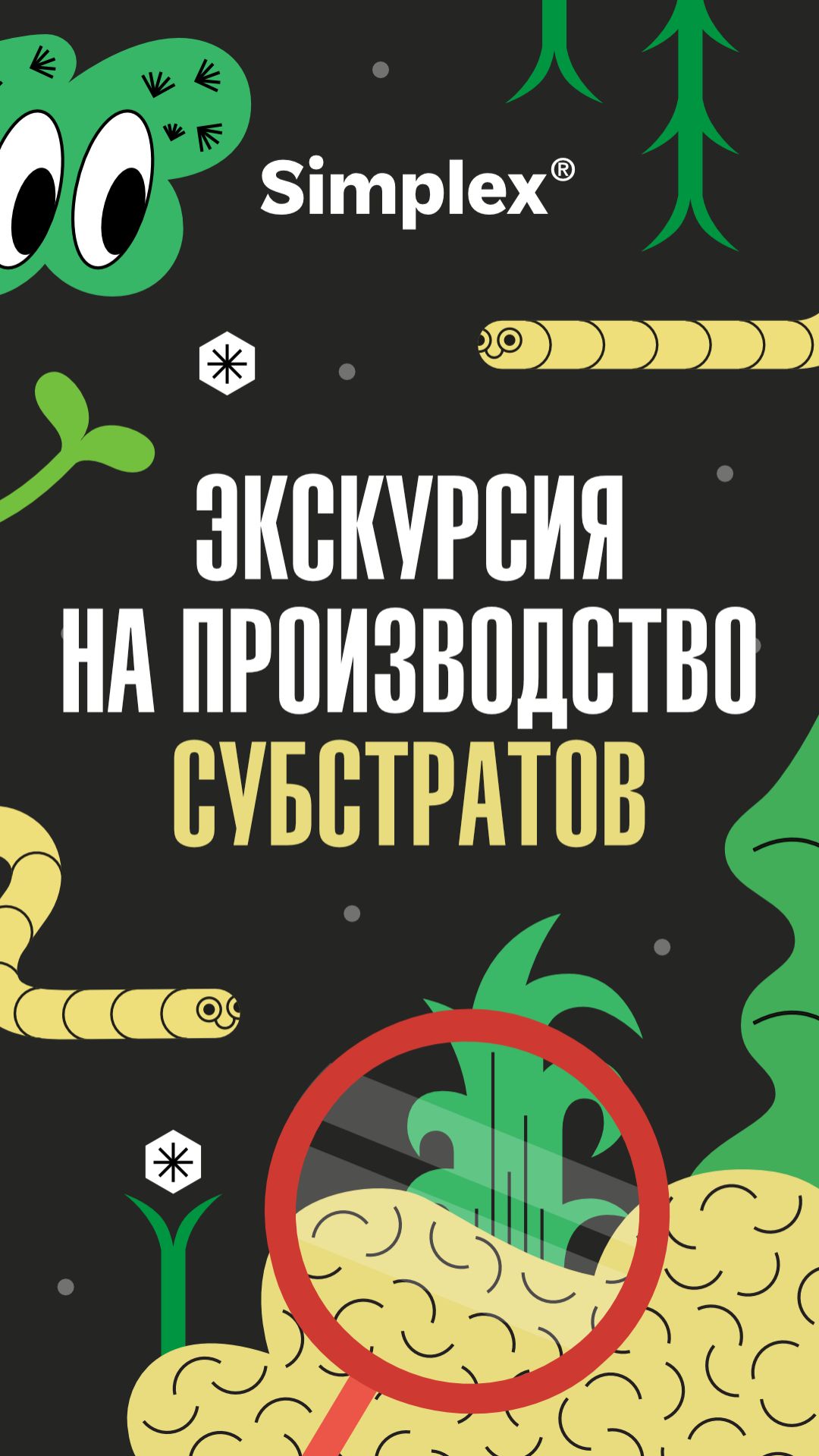 Экскурсия на производство субстратов Simplex