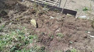 Новое приобретение.  Сломалась стиральная машинка, ремонт или новую купить? Жизнь на юге.