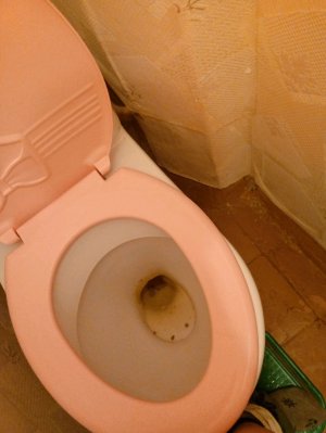 да я сруууууу