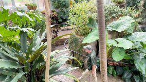 Влог- БОТАНИЧЕСКИЙ САД _ Оранжерея с бабочками 🦋(ProAuctionLine)