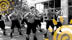 Промо-акция от фитнес-тренеров "Зебра", г. Москва