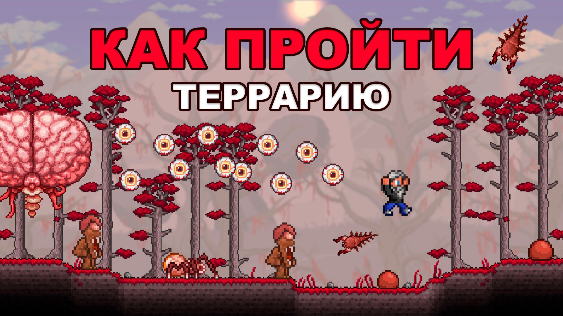 Как Впервые Пройти Террарию?