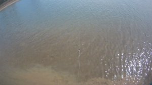 Рыбалка на Кубани. 2 Апреля 2026г. Выход в поиске хищника