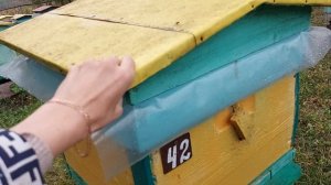 Пчеловодство  №133 Что у нас осенью на пасеке?