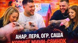 АНАР, ЛЕРА СИМКА, ОГР, САША, КОРМЯТ МИНИ-СВИНОК