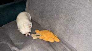 Всем наидобрейшего вечера и самых добрых снов.