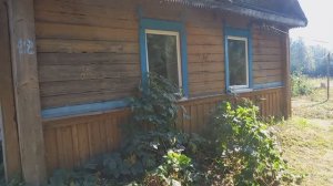 Обзор уютного милого домика в лесной зоне. Сдаём в аренду