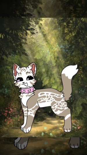 мы теперь на одном акке?!