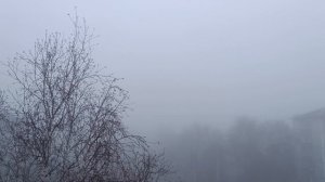 Просто туманище