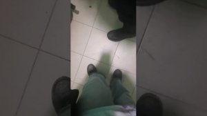 Гуляем с другом