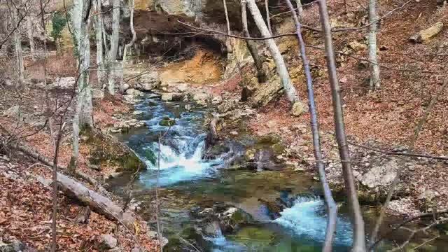 Река Узунджа 11.02.26