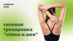 Силовая тренировка спина и шея