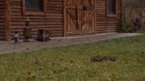 Котлеты по-казански с овощами, приготовленные на дровах.