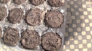 КАСЕТЫ  💥РАССАДА  💥СЕМЕНА   💥 ПОДПИШИСЬ