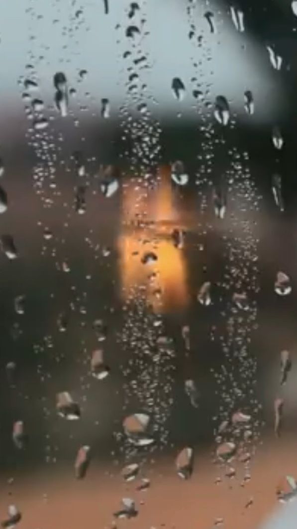 Доверять каждому ...