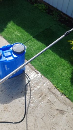 🌴 Наши туи болеют. Переезд на Юг. Саликовы.