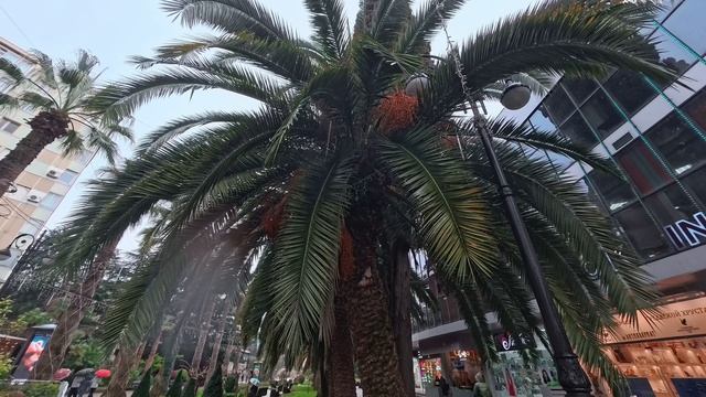 Сочи Навагинская Дождь ☔️