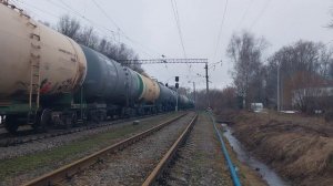 Электровоз 2ЭС5К-499 с грузовым поездом проходит станцию Ройка 03.04.2026