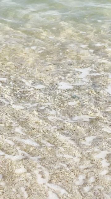 Таманский полуостров  в цвету