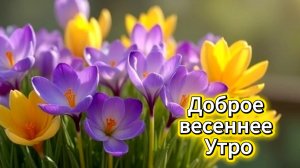 Доброе весеннее утро | Весенние музыкальные открытки с пожеланиями 🤗