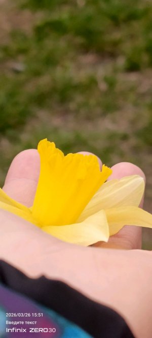 🐧 пингвинчик 🐧