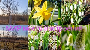 01.04.26 Дача Выборг, встречаем апрель,работы по саду