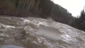 Нетронутая ТАЙГА Там где живет МЕДВЕДЬ Нетронутые места Тайги Сибирь Рыбалка Охота