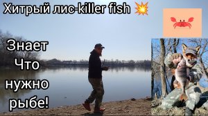 СУПЕР ПРОВОДОЧКИ!РЫБАЛКА НА СПИННИНГ ФРИ РИГ!РЫБАЛКА ВЕСНОЙ МИКРОДЖИГ