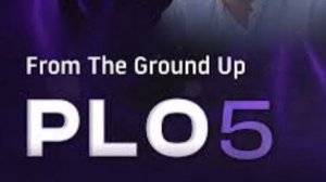 Курс  Introduction Run It Once «С нуля: 5-карточный PLO»