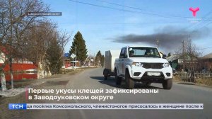 Первые укусы клещей зафиксированы в Заводоуковском округе