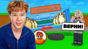 Я РАССМЕШИЛ СВОЮ ДЕВУШКУ И СТАЛ АДМИНОМ SAMMY В STEAL A BRAINROT😂