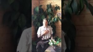 Наука побеждать. А.В. Суворов