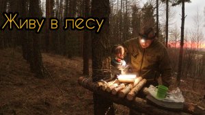 Прячусь в лесу от медведей. Ночь в сосновом бору.