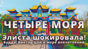 🛕 Элиста шокировала! Будда, Виктор Цой и море впечатлений 😲