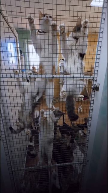 #утречко_в_преданном Дух свободы