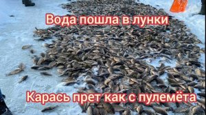 рыбалка на озере чаны, бешеный клёв карася , клюёт как с пулемёта..