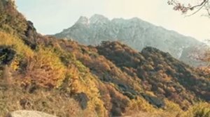 СТАРЕЦ_ТИХОН_АФОНСКИЙ-2