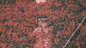 Feist - A Man Is Not His Song (D-Pulse edit)