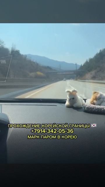 ПАРОМ В КОРЕЮ / ПРОХОЖДЕНИЕ КОРЕЙСКОЙ ГРАНИЦЫ #shorts #паромвкорею #паромкорея #работавкорее #вахта